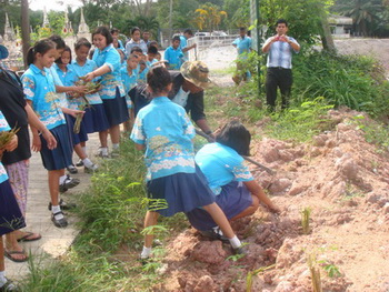 ปลูกหญ้าแฝก กันดินสไลด์ถนน<br>ข้างโรงเรียนวัดควนศรี